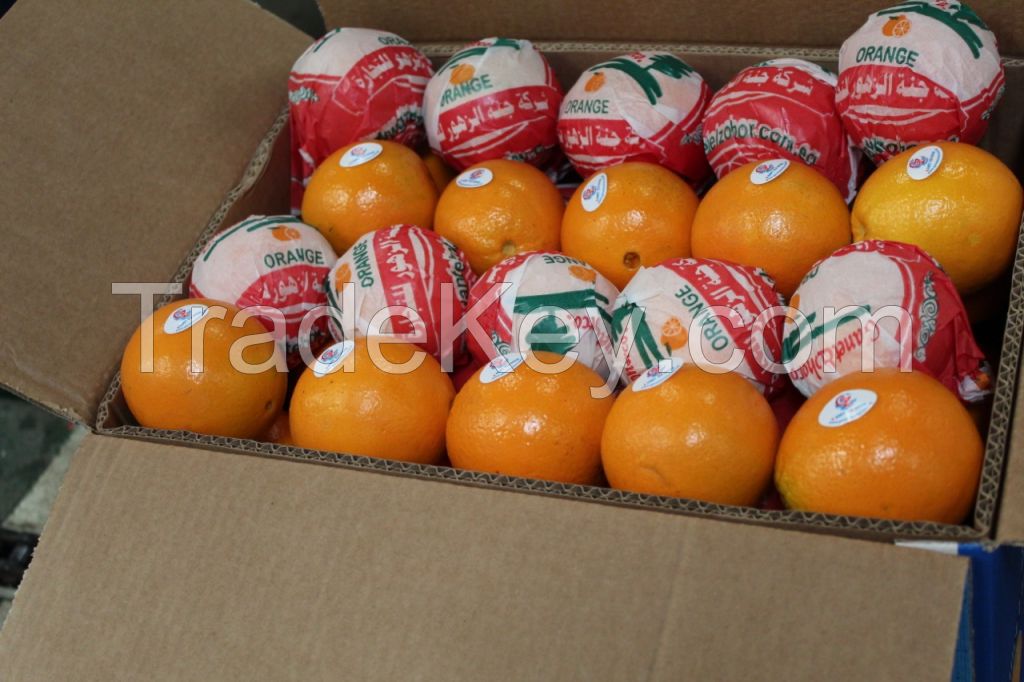 Fresh Organic Navel Oranges