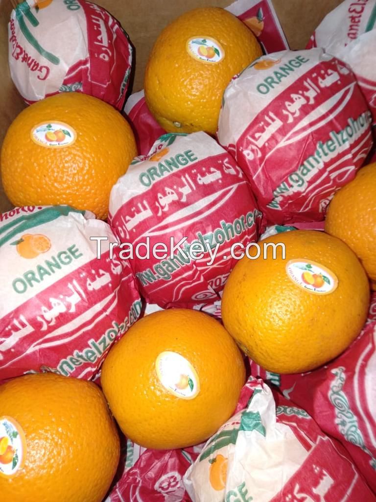 Valencia Orange