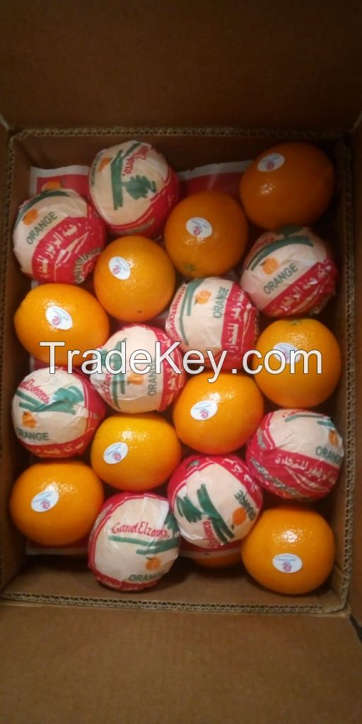 Navel orange