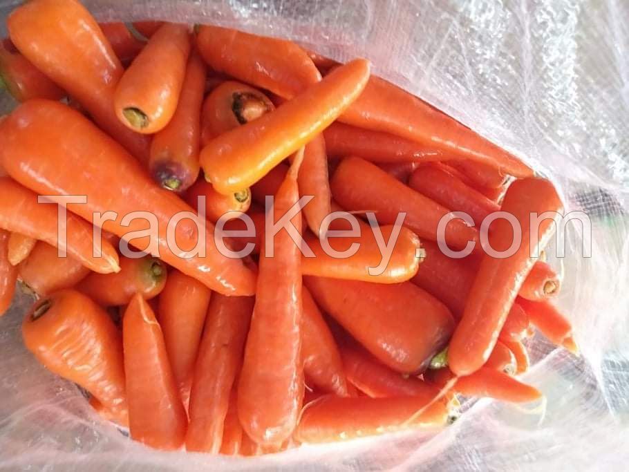 Egyptian carrots