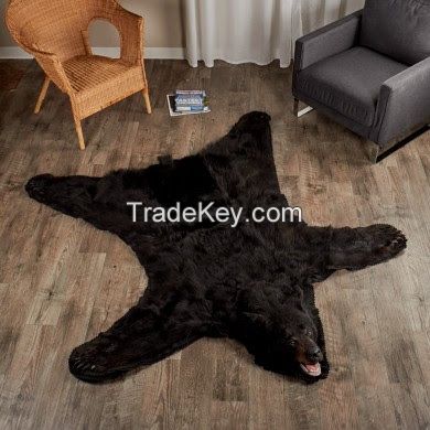 5 Foot 8 Inch (173cm) Black Bear Rugs and More