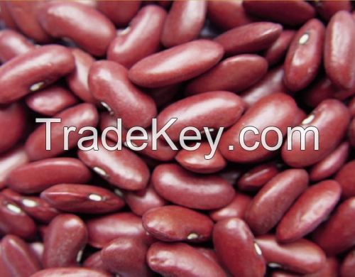 Red / White Kidney Beans