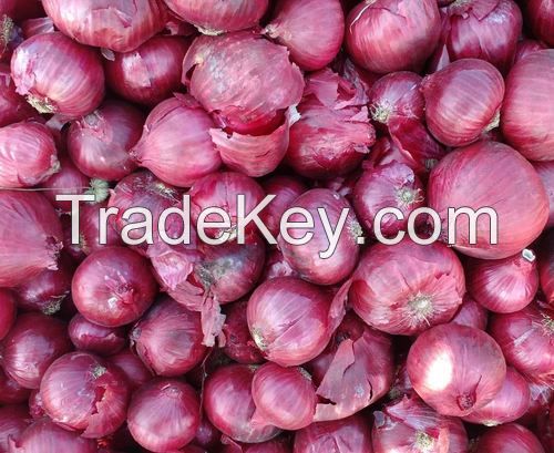 Onion Price/Cheap Onion/Bulk Fresh Red Onion