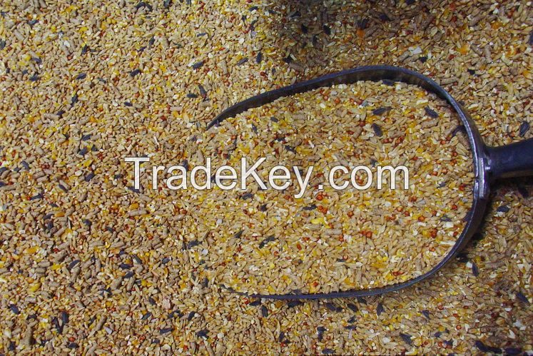 Poultry Meal / Poultry Feed Supplement