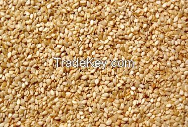 100% Natural Sesame Seeds for sale cheap price