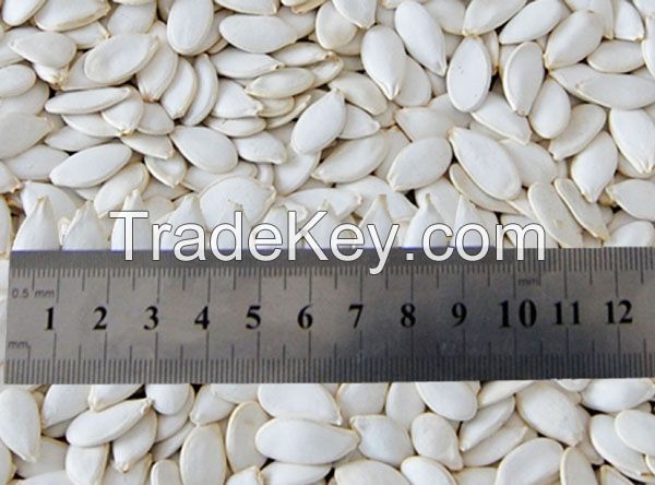 100% Snow White Pumpkin Seeds