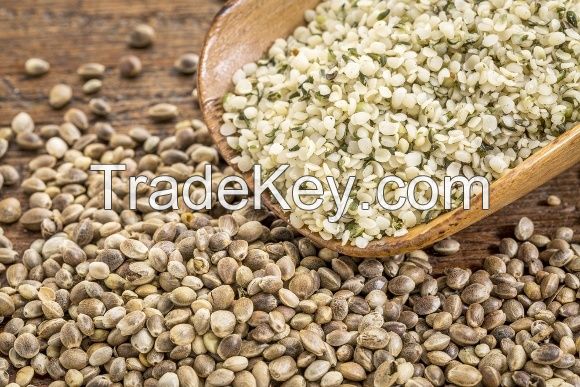 Top Quality Hemp Seeds / Hulled Hemp Seeds / Organic Hemp Seeds