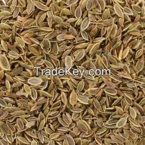 High Quality Dill Seeds