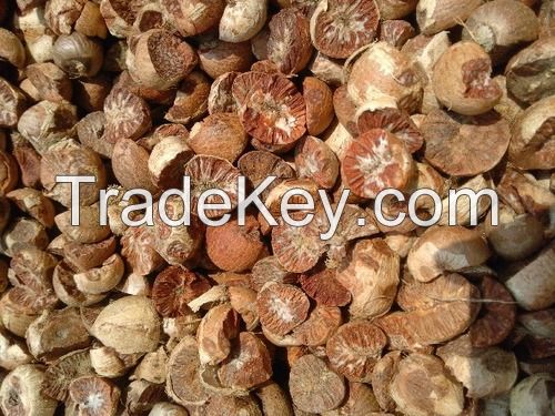 Dried Betel Nuts/Betel Nuts for sale