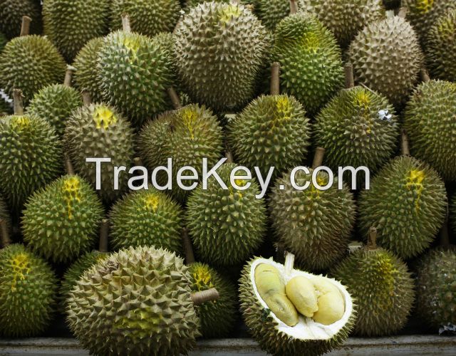 HIGH QUALITY FRESH DURIAN