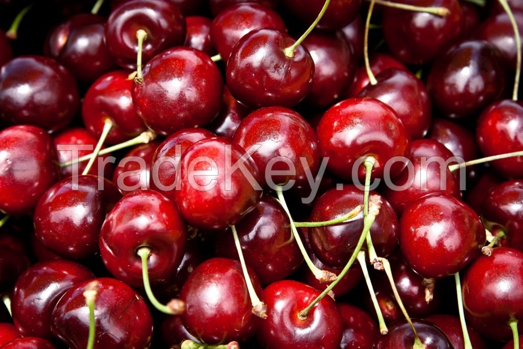 high quality and good sweet red cherry