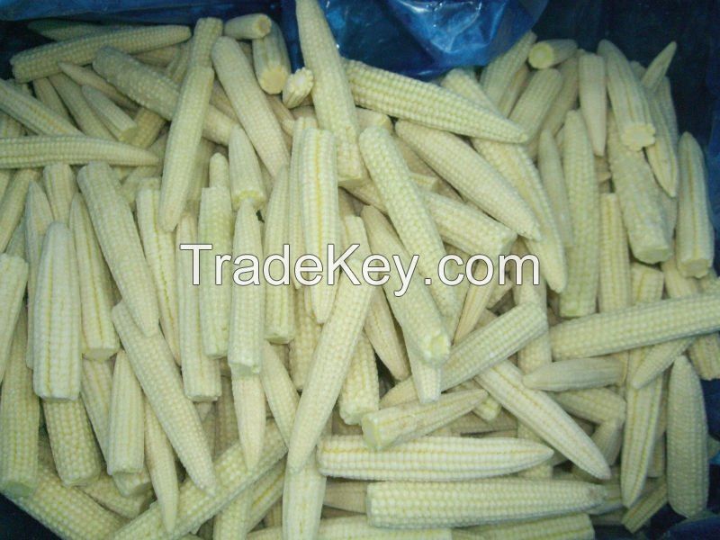 100% Frozen Baby Corn