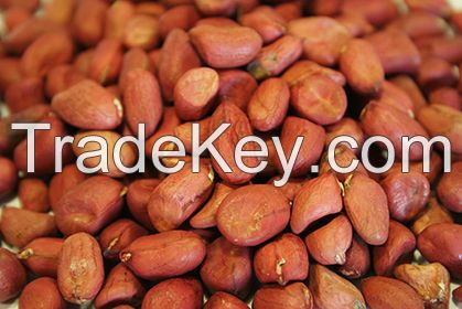 High Quality Peanuts, Ground Nut