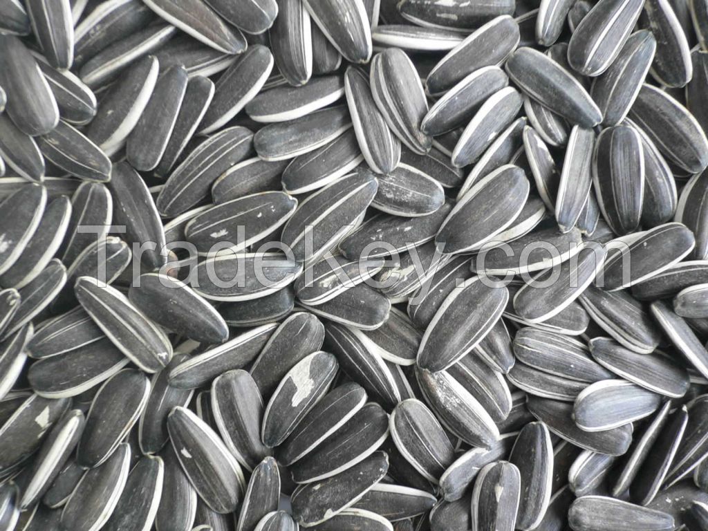 Hot Sale High Quality organic sunflower seeds