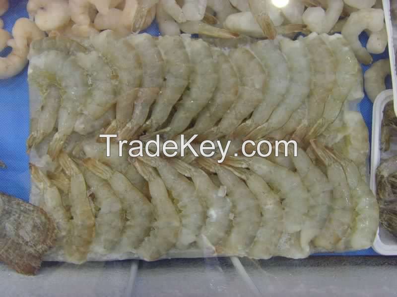 Frozen white shrimp whole round