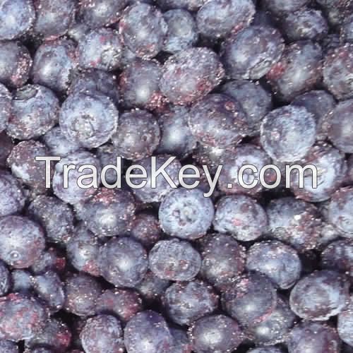 Bulk Frozen Organic Fruit Blueberry Products