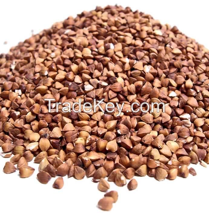 Wholesale Roasted Buckwheat