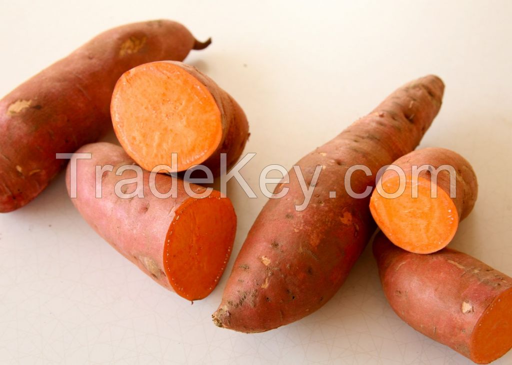 Sweet potato