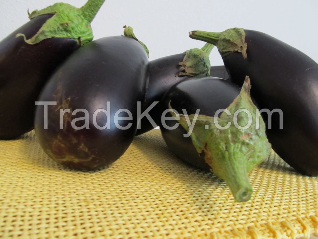 High quality eggplant