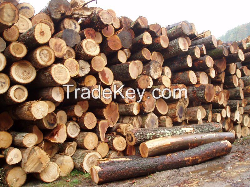 Tropical timber logs and sawn wood, Tali, Teak, ebony wood