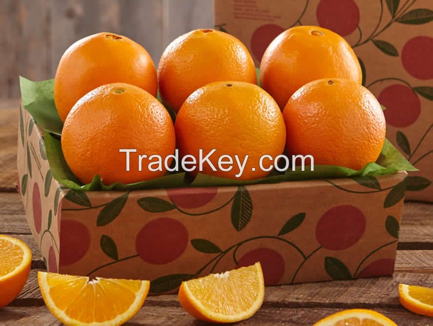 FRESH ORANGES / FRESH NAVEL ORANGES / FRESH VALENCIA ORANGES, FROM SOUTH AFRICA FOR SELL CLASS 1