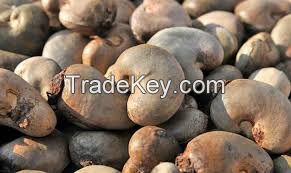 Raw Cashew Nuts