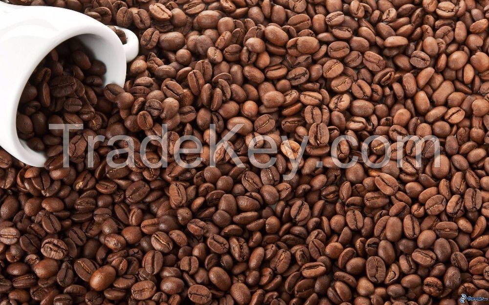 Grade A Robusta Coffee Beans