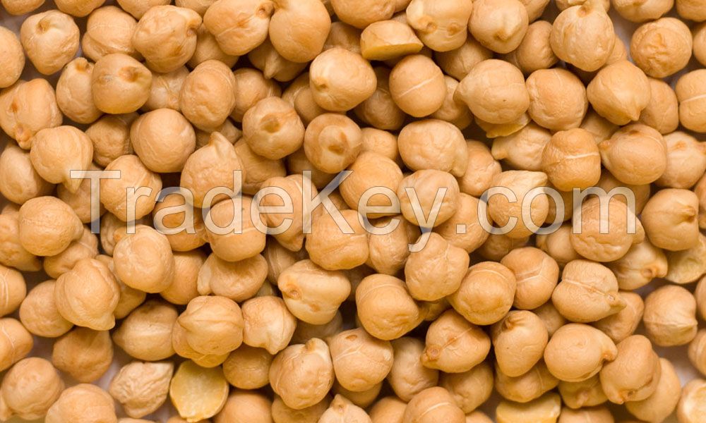 Best quality Dried ChickPeas from South Africa