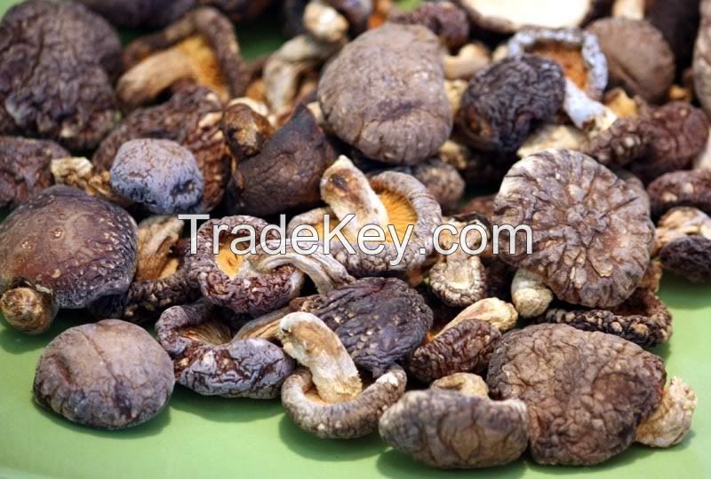 Good Quality Organic Dried Black Fungus Mushroom