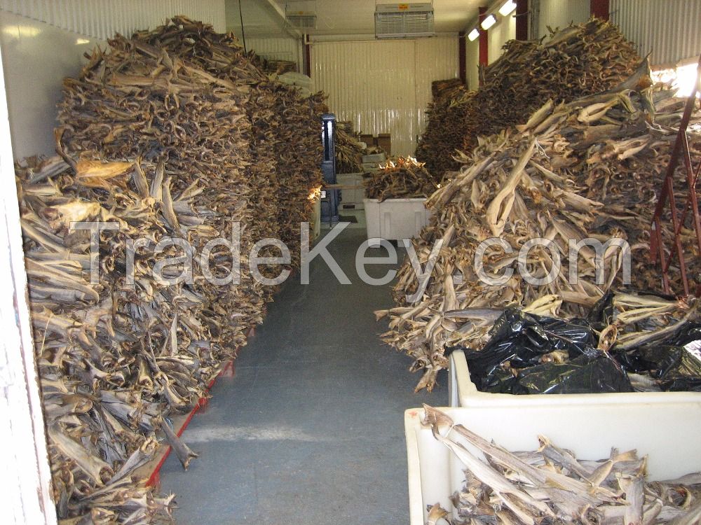 Quality Grade A Dried StockFish / Frozen Stock Fish for Sale