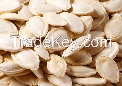 Shine Skin/Snow White Pumpkin Seeds in shell