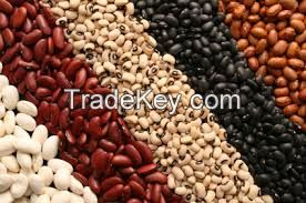 Red Kidney Beans/Dark Red Kidney Beans/White Kidney Beans, purple speckled kidney beans