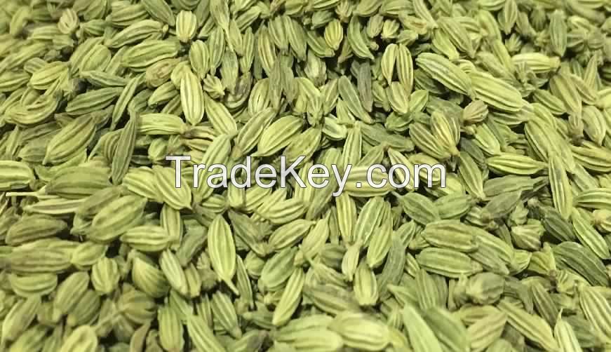 Best Price High quality 100% natural 4:1, 10:1, 20:1 Fennel Seed Extract