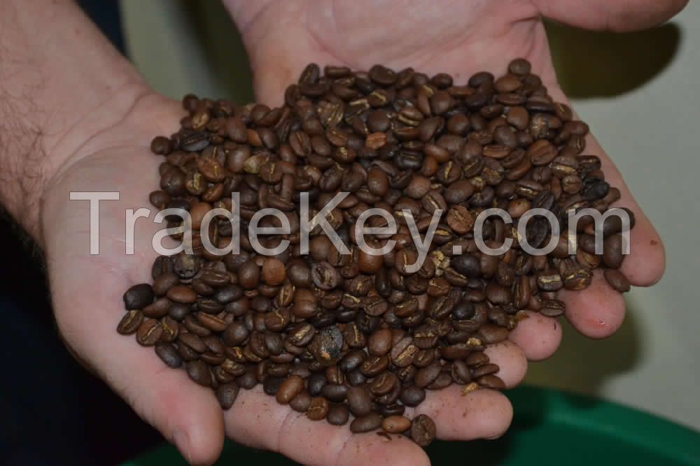 green coffee beans, arabica coffee beans, unroasted coffee beans
