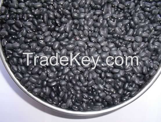 Soybeans/peas/black beans/kidney beans peeling machine (by dry way)