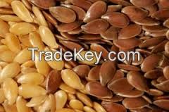 Golden and Brown Flax Seeds / Linseeds