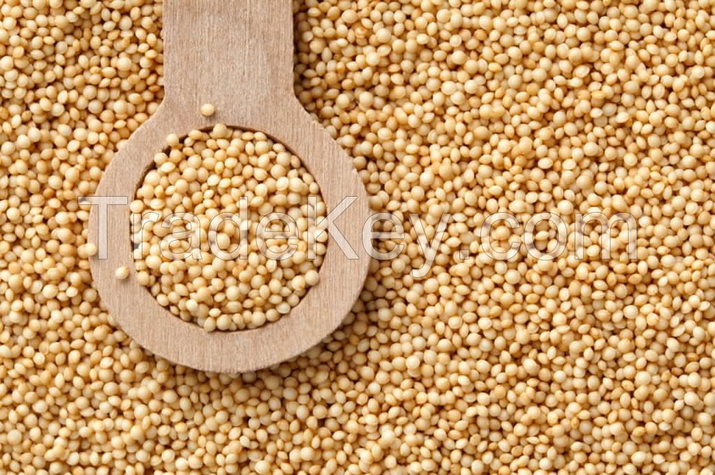 Amaranth Seed Puffed Flour