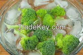 Hot sale grade AAA fresh organic frozen vegetables broccoli