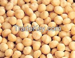 Macadamia Nuts /Macadamia Nuts in Shell/Roasted Salted Macadamia Nuts for sale