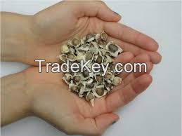 High quality moringa oleifera seed /Moringa Seeds For Cultivation