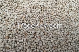 White Perilla seeds /fructus perillae/brown