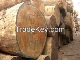 Round Logs Tali  Rosewood  Sapele  Doussie Logs