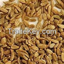 Best quality carrot seeds, quality seeds, sale seeds