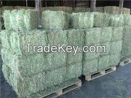 Top Quality Alfafa Hay For Animal feeding stuff Alfalfa / alfalfa hay / alfalfa hay for sale