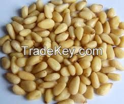 Favorable price of organic pine nut