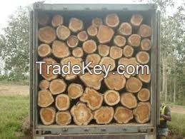 Teak Wood Logs