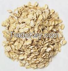 Quality whole oats for oats flakes