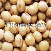 Purely natural NON-GMO / Organic Soybean / Soya bean