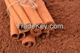 High Quality Cinnamom Extract (5:1, 10:1, 20:1)