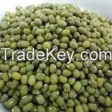 Green Mung Bean